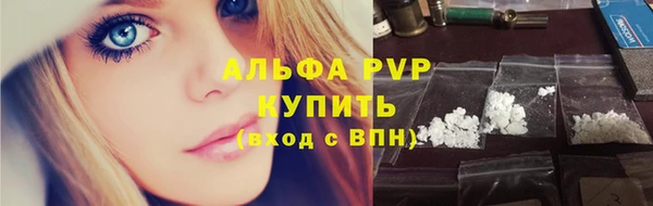 spice Кинешма