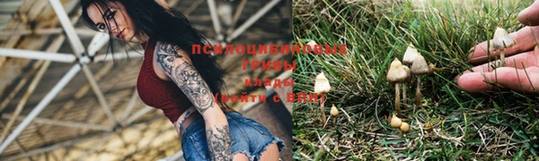 винт Ессентукская