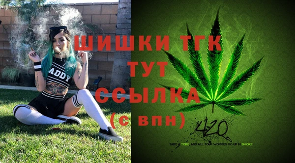 стафф Киренск