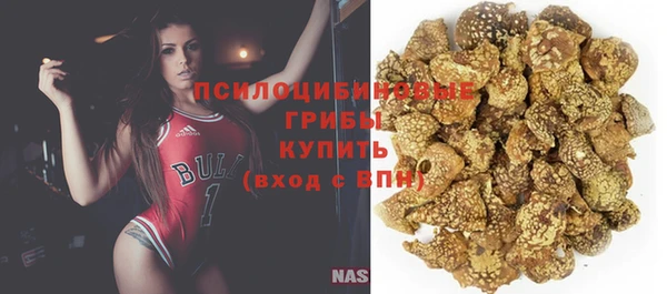 дмт Козловка
