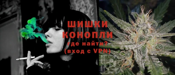 spice Кинешма