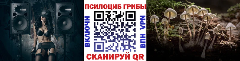 Галлюциногенные грибы Psilocybine cubensis  Якутск 