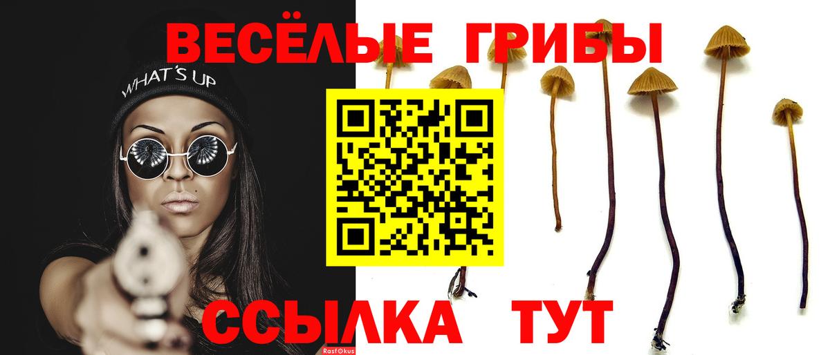 Галлюциногенные грибы Psilocybe Якутск